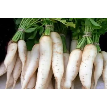 Natural Radish 